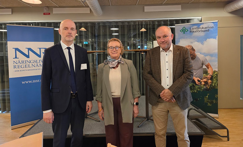 Härnäst i EU: Irlands ambassadör om det irländska ordförandeskapets prioriteringar